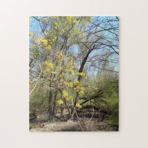 Lost Places , Meadowlands nature, Spring awakening Jigsaw Puzzle
