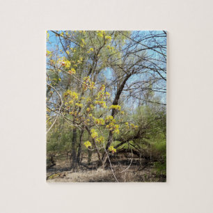 Lost Places , Meadowlands nature, Spring awakening Jigsaw Puzzle