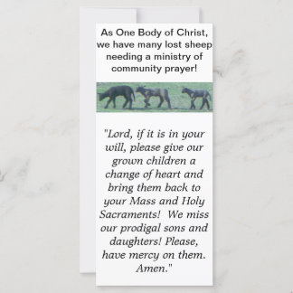 Lost Sheep Catholic Paryer Rack Card