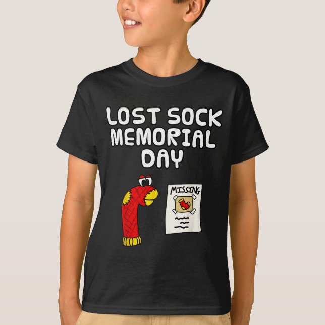 Lost sock memorial day, laundry worker funny  T-Shirt (Front)