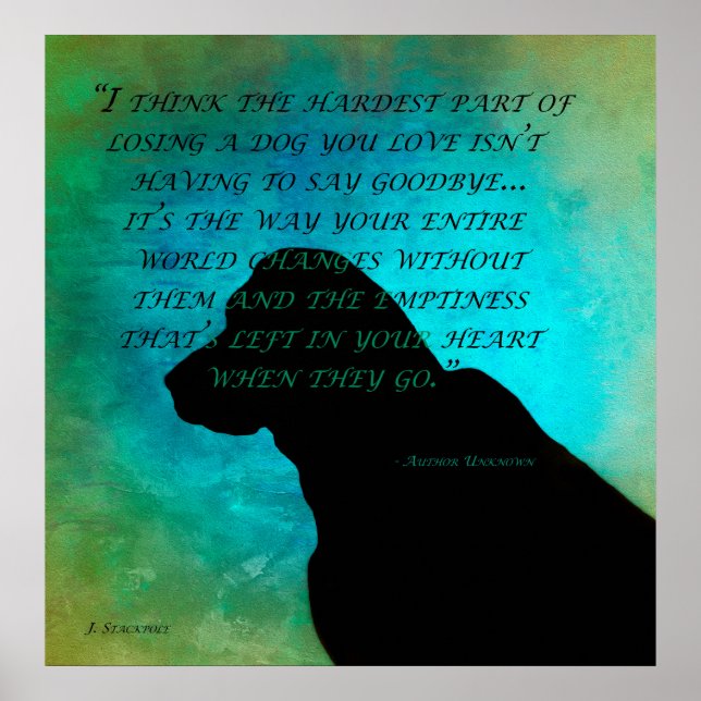 Losting a Dog Poster (Front)