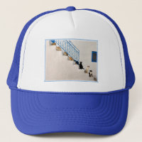 Lot of cats on a white stairway in a Greek village