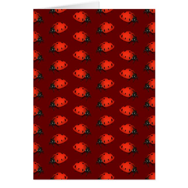 Lot Of Ladybugs (Front)