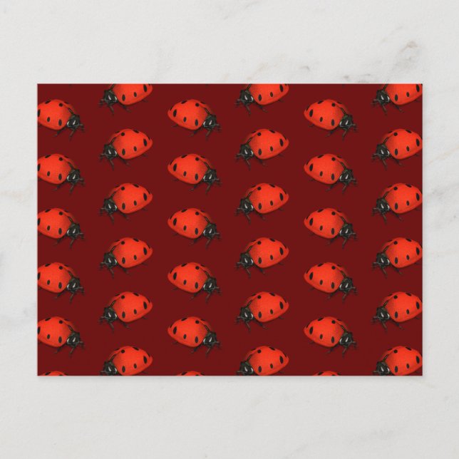 Lot Of Ladybugs Postcard (Front)