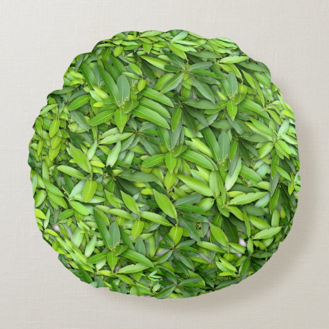 Lots of beautiful green leaves   round cushion (Front)