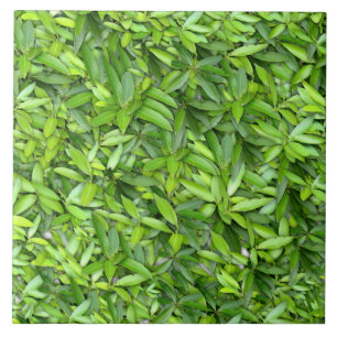 Lots of beautiful green leaves tile