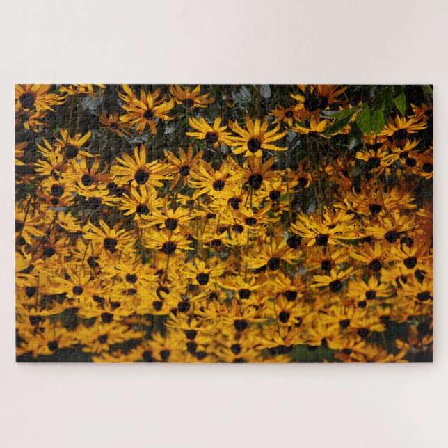 Lots Of Black Eyed Susans Jigsaw Puzzle (Horizontal)