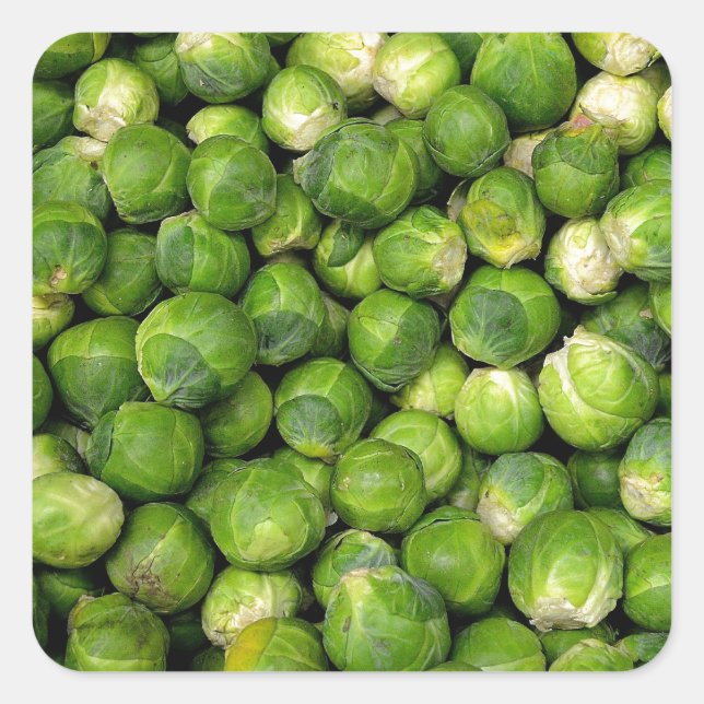 Lots of Brussels Sprouts Square Sticker (Front)