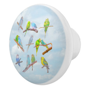 Lots of colourful parakeets - cute little birds ceramic knob