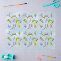 Lots of colourful parakeets - cute little birds