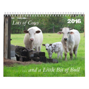 Lots of Cows and a Little Bit of Bull Calendar