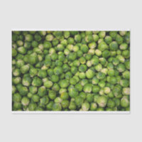 Lots of Fresh Brussels Sprouts