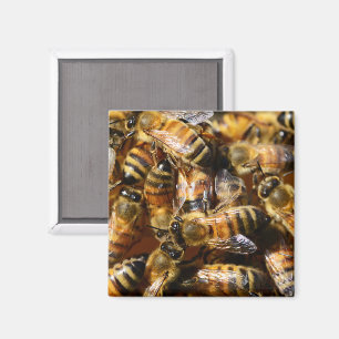 Lots of Honey Bees Magnet