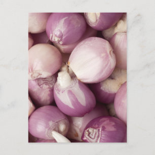 Lots of peeled shallots postcard