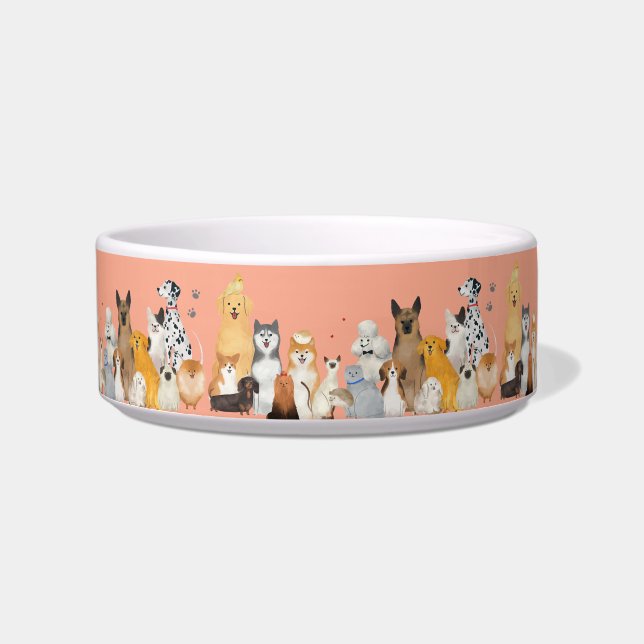 lots of pets bowl (Front)