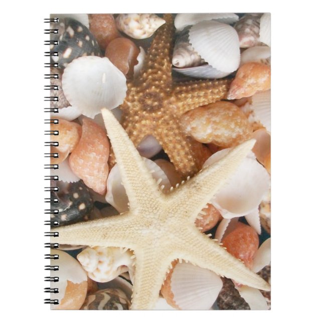 Lots of Seashells Spiral Notebook (Front)