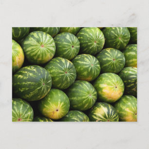 Lots of Watermelons Postcard