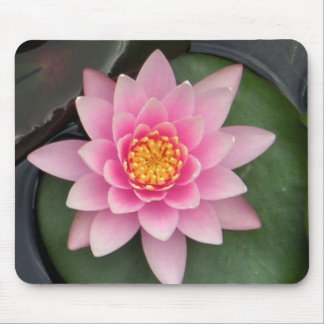 Lotus 1 mouse pad
