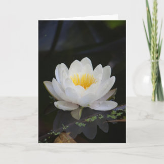 Lotus #2360 card