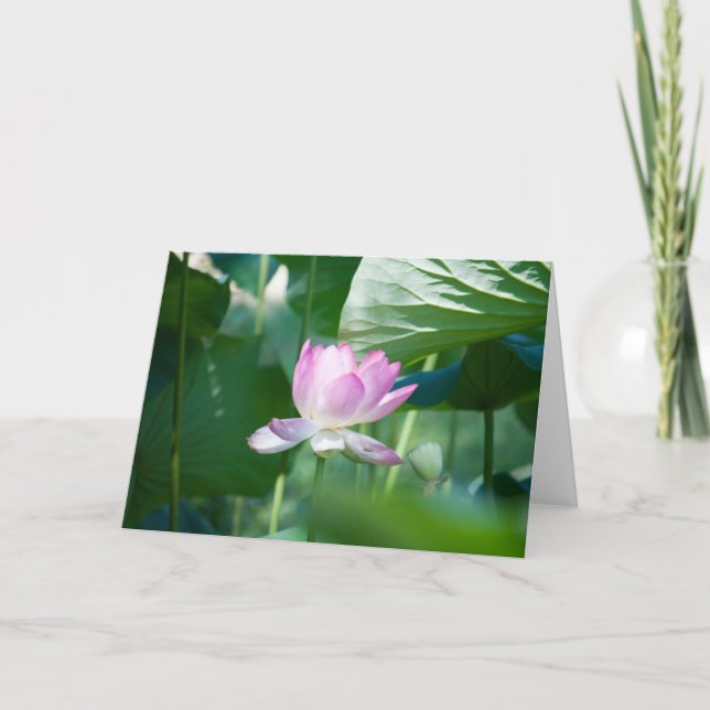 Lotus #2463 card (Front)