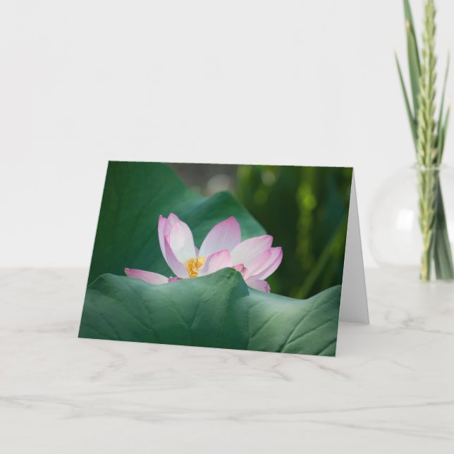 Lotus #2525 card (Front)