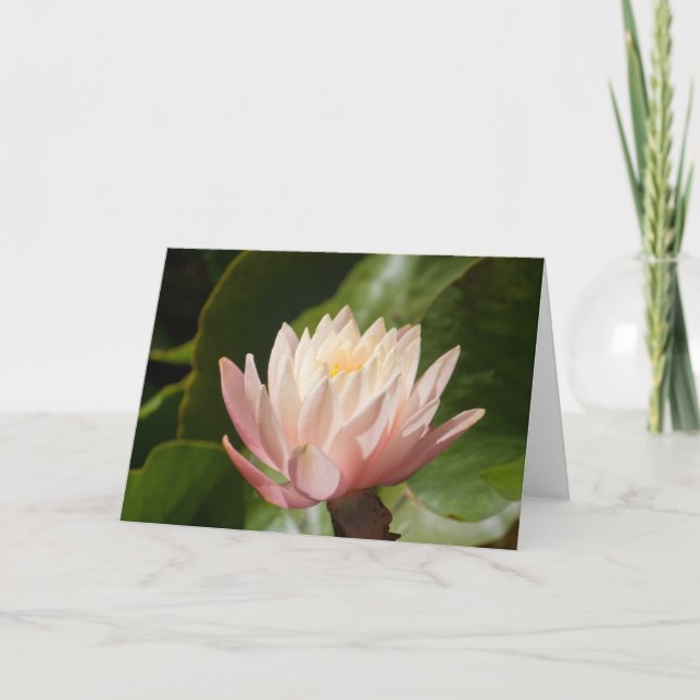 Lotus #2560 card (Front)