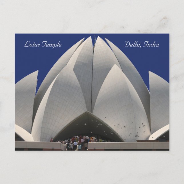 lotus birds postcard (Front)