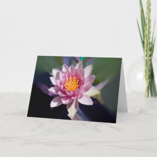 Lotus Blossom #2254 Card