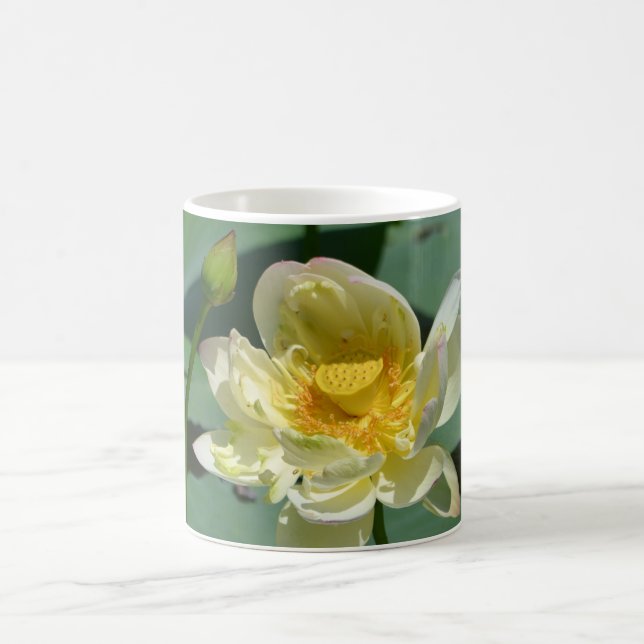 Lotus Blossom Coffee Mug (Center)