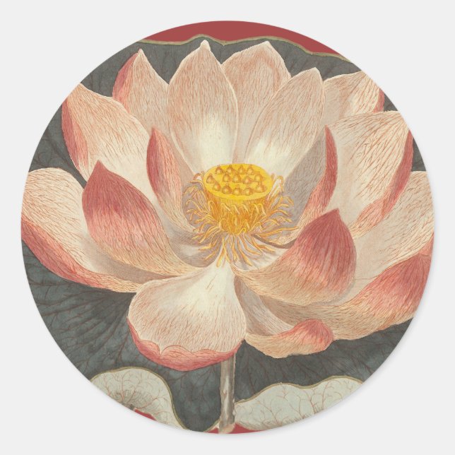 Lotus Blossom, Lilypad, Water Lily Buddhist Symbol Classic Round Sticker (Front)