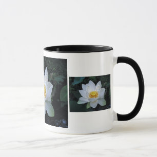 Lotus Blossom Mug