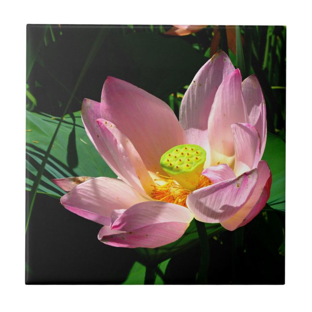 Lotus Blossom Tile (Front)