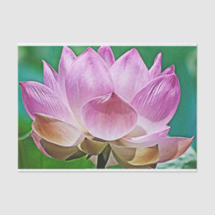 Lotus blossom tissue paper