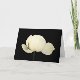 Lotus Bud Card