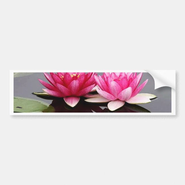 lotus bumper sticker (Front)