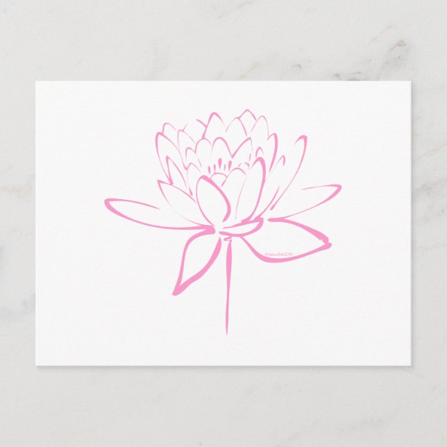 Lotus Calligraphy (Pink) Postcard (Front)