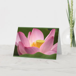 Lotus Card