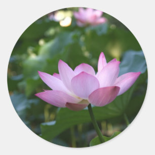 Lotus Classic Round Sticker