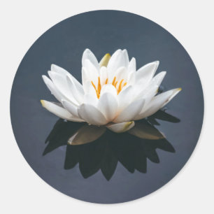 LOTUS CLASSIC ROUND STICKER