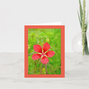 Lotus Floral Notecard