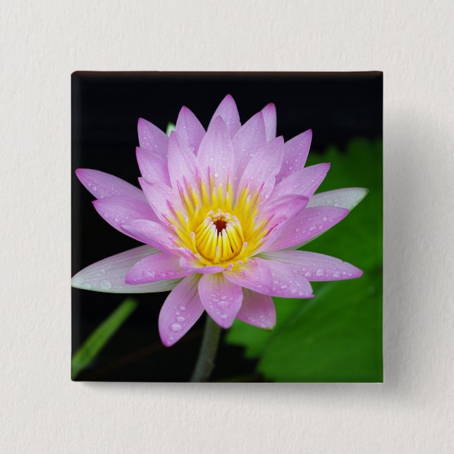 Lotus Flower 15 Cm Square Badge (Front)