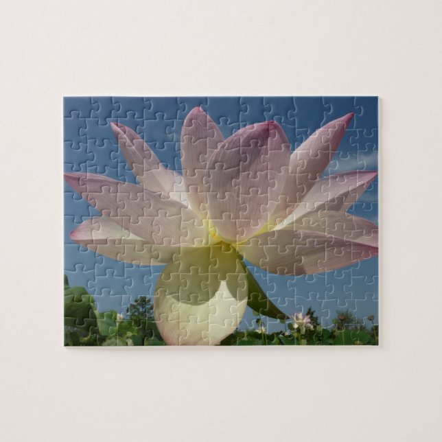 Lotus Flower and Blue Sky II Jigsaw Puzzle (Horizontal)
