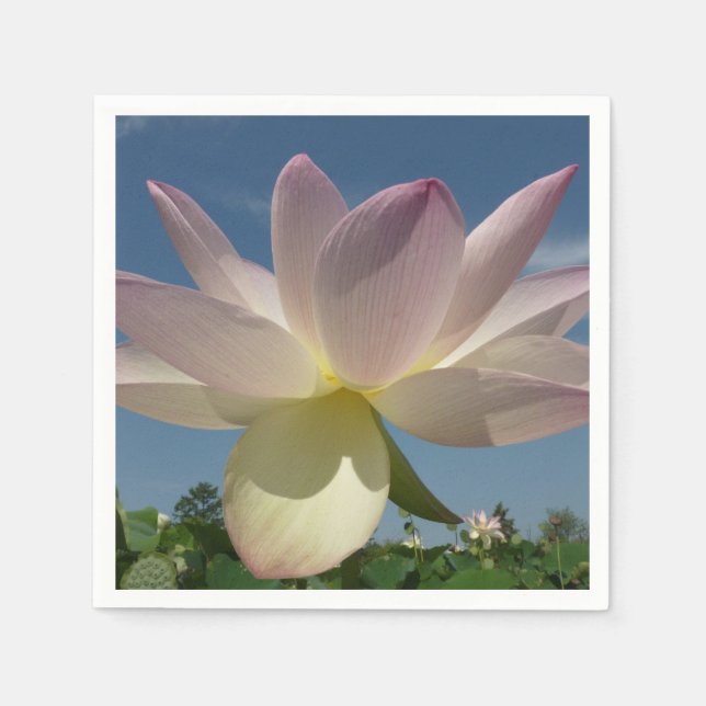 Lotus Flower and Blue Sky II Napkin (Front)