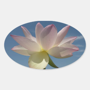 Lotus Flower and Blue Sky II Oval Sticker
