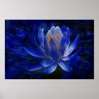 Lotus flower and its meaning