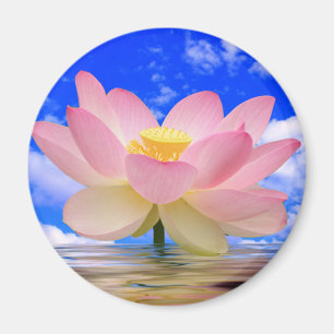 Lotus Flower Born in Water Magnet