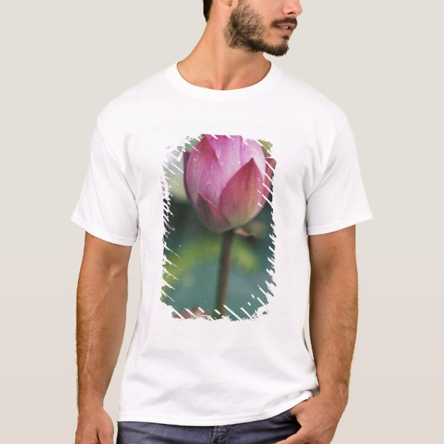 Lotus flower bud, Hangzhou, Zhejiang Province, T-Shirt (Front)