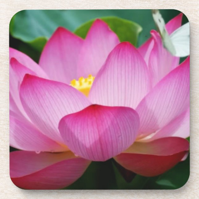 Lotus flower & butterfly Plastic coasters (Front)