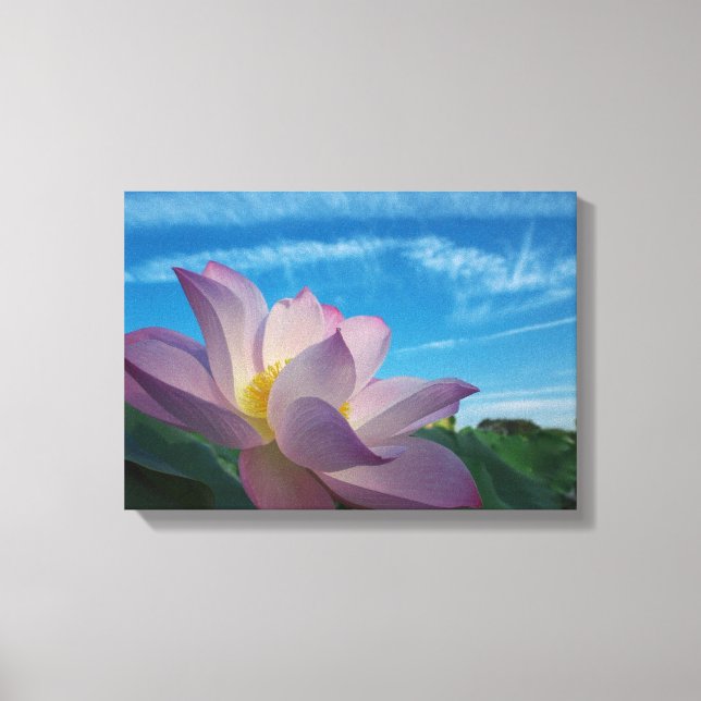 Lotus Flower Canvas Print (Front)