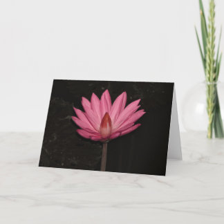 lotus flower card